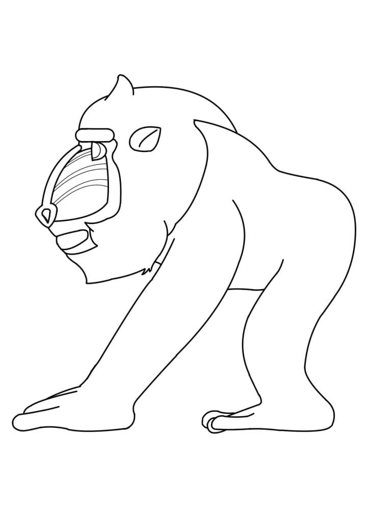 マンドリル側面図