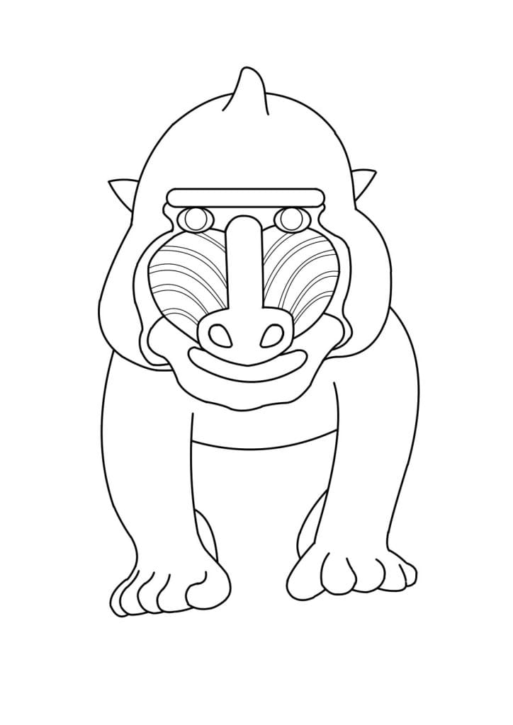 マンドリル正面図